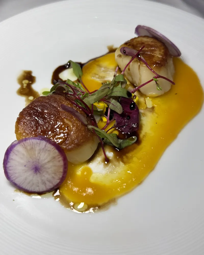 Seared scallops over a bright orange pur&eacute;e with radish slices and microgreens